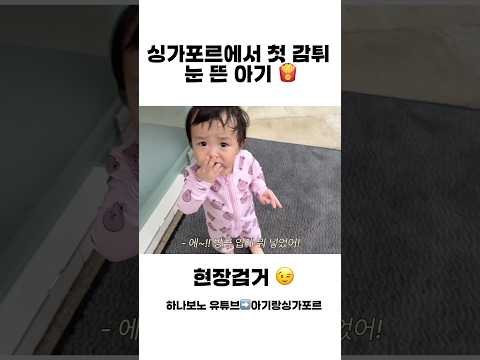 <strong>싱가포르에서</strong> 첫 감튀에 눈뜬 아기 현장검거