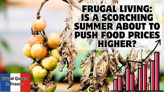 Frugal Living: Is A Scorching Summer About To Push Food Prices Higher? Heawave.