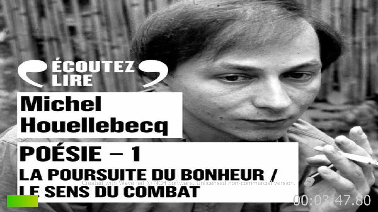 La Poursuite Du Bonheur Houellebecq Résumé