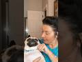 God is good, even when life is not #god #godisgood #pug #puglife #godsplan