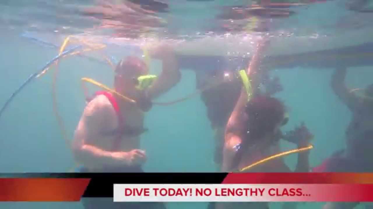 Snookah Diving - YouTube