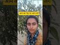 Aaj farm me aam ke ped par aam dekha। Monu khet vlog #khetvlog #minivlog