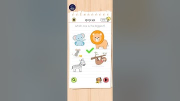 Brain Test All Star Level 305 |Which One Is The Biggest?| Walkthrough Solution