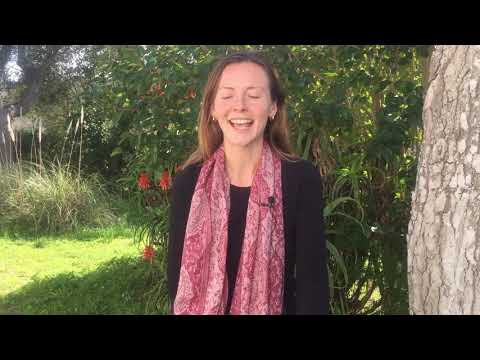 What is embodiment
