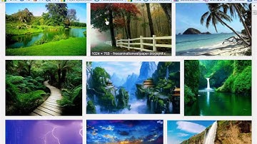 SEO Bangla Tutorial | Part-29 (Image Alter Tag)