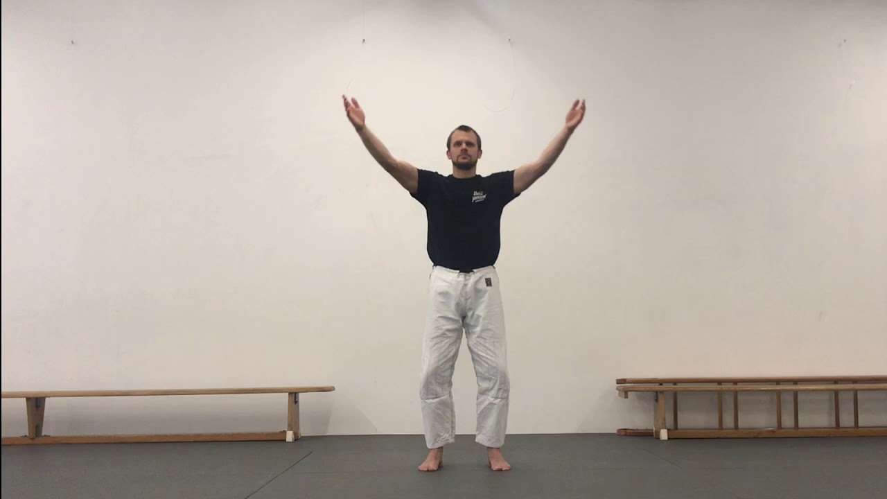 The Internal Shower - Qi Gong Basics 1