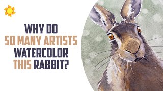 Why do so many artists watercolor this rabbit?