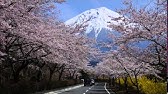 聖教新聞 富士桜自然墓地公園 Youtube
