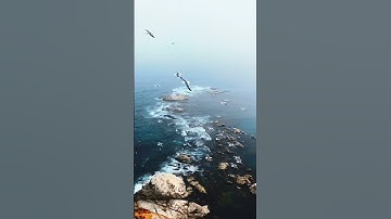 color correction lut for drone video