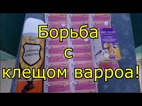 Борьба с клещом