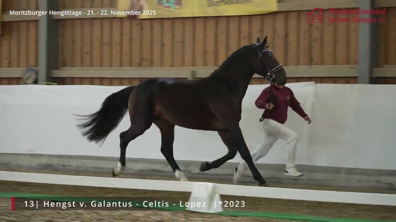 KN 13 v. Galantus - Celtis