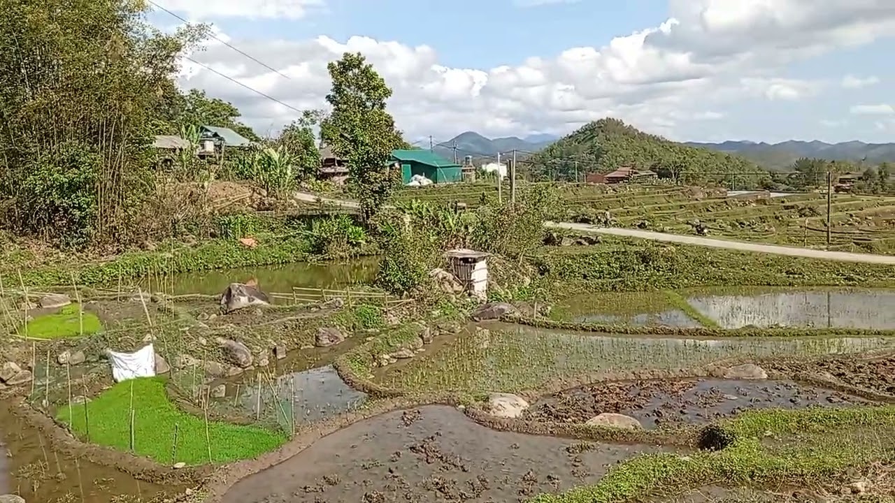 Cảnh nhà nông mung 6 tết mình đây mới người oi