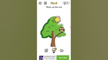 brain out/level 8/wake up the owl