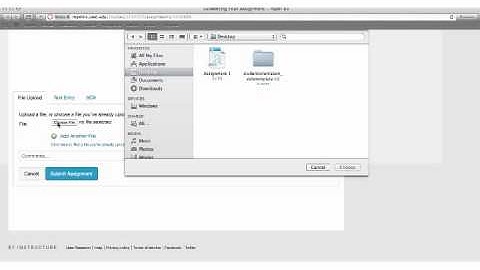 Quick Guides: Assignments