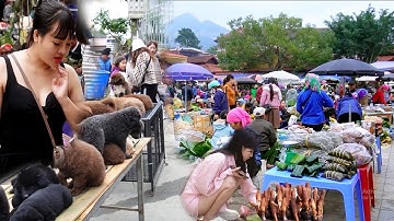 CHỢ SỐ 1 TÂY BẮC ĐI MỘT VÒNG HOA CẢ MẮT GÌ CŨNG MUỐN MUA - VẬT LẠ  - CỦA QUÝ HIẾM - ẨM THỰC GÂY SỐT