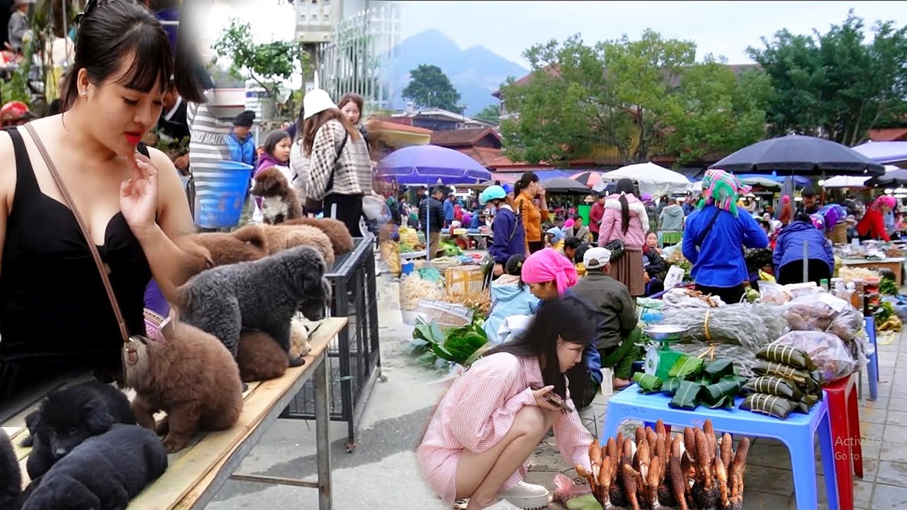 CHỢ SỐ 1 TÂY BẮC ĐI MỘT VÒNG HOA CẢ MẮT GÌ CŨNG MUỐN MUA - VẬT LẠ  - CỦA QUÝ HIẾM - ẨM THỰC GÂY SỐT