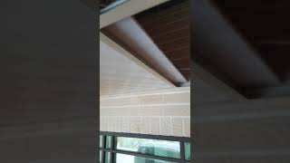 1100115這隻好奇心強又很會爬的小貓咪