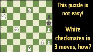 A hard 3 mover puzzle!