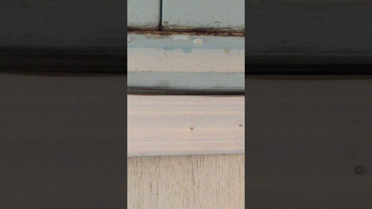 12/18/2016 Patio Roof Leak in Metairie, Pt 1 YouTube