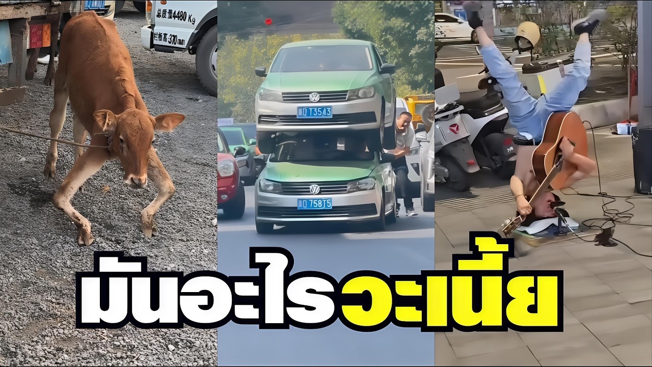 Latest Title & Thumbnail