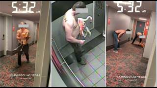‘Flamingo bounty hunter’: Las Vegas hotel guest quips in court video