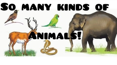 Environmental studies (STD:3) ch. no. 2 - So many kinds of animals !
