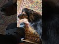 Чего она вечно хочет? Что ей не хватает?