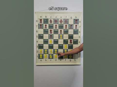 Sicilian Defense : McDonnell Attack #1 #chess #shorts 