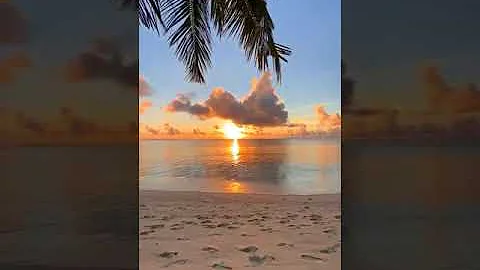 O que a natureza nos traz de bom?