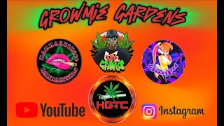 Growmie Gardens Aug 9th, 2024
