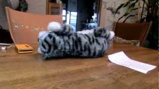 笑う猫ぐるみ　その１