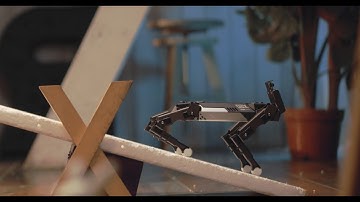 XGO-Mini, An Advanced Quadruped Robot With AI Modules