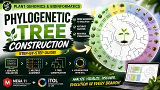 PGB - Phylogenetic Tree Construction Using MEGA11 and iTOL