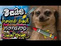 Trending Song Nonstop 2025 | Dj Remix Nonstop | Dj Nonstop | @chandanasuperservice9959