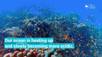 Developing scientific capacity to address ocean acidification in the Pacific Islands