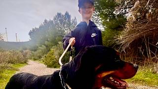 The Hot Seat - Smith & Rover...You Made The Podcast!!  Adopt with AAA Marbella Adopt A Seat
