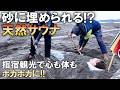 【鹿児島】指宿の魅力を堪能する1泊2日。極上の砂むし温泉と絶品黒豚ランチに癒される旅｜さんふらわあで行く鹿児島旅