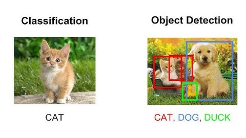 image classification python Tutorial for beginners || 10 lines of Code || ResNet50 Tutorial