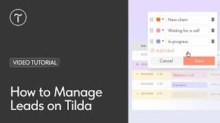 How to Manage Leads on Tilda (Leads Section Tutorial)