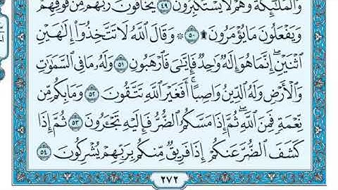 سوره النحل بصوت الشيخ ماهر المعيقلي #قرآن #ماهر_المعيقلي #maher #سورة_النحل