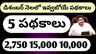 AP డిశంబర్ నెలలో ఇవ్వబోయే పథకాలు 5 పథకాలు|| AP Schemes In December  Latest  Updates 2020|| Schemes