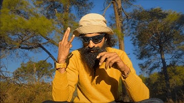 We Are Witnessing the Collapse of Civilization in Real Time