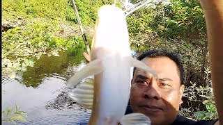 AHIR NYA NAIK JUGA IKAN INI🎣🎣