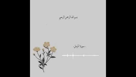 تلاوة تريح القلب القارئ#عبدالرحمن_مسعد #حالات_واتساب_دينية#راحة_نفسية #قران_كريم #سورة_المزمل ❤