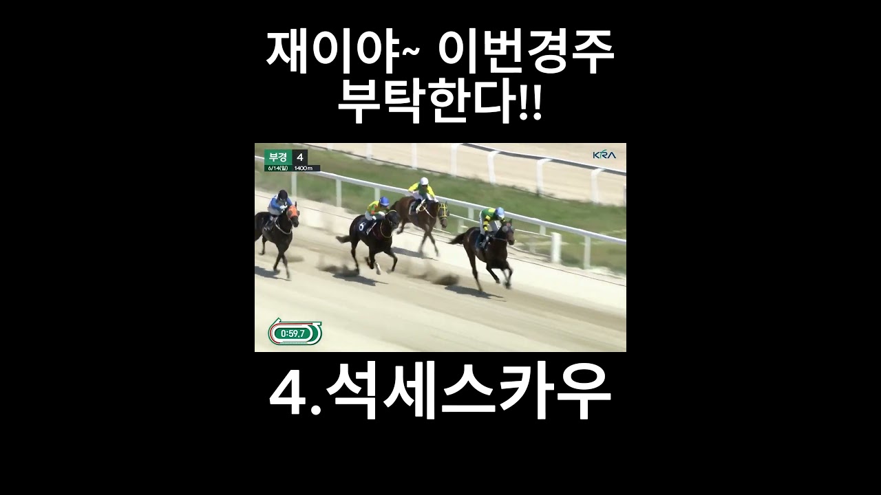재이야 이번경주 부탁한다  #경마  #경마예상  #경마방송  #경마예상방송  #서울경마  #금요경마  #토요경마  #일요경마 #경마장