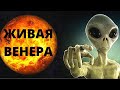 РАССЕКРЕЧЕНЫ СЕНСАЦИОННЫЕ ДАННЫЕ! Живая Венера. ТАЙНЫ КОСМОСА! Фильмы про космос