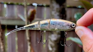 Small lures for BIG fish! Pushing BFS to its limit on Australian Bass