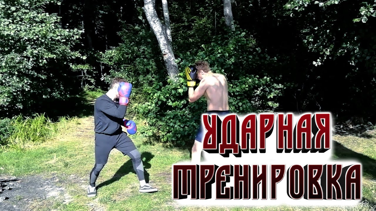 Бойцовская тренировка. Бокс в лесу.