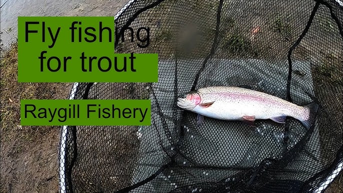 Learning How to Fish from a Boat - Bass Fishing from a Jon Boat 