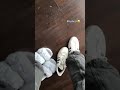 adidas sneakers with ankle puma socks 🧦 baskets et chaussettes de sport #socken #models #pedicure